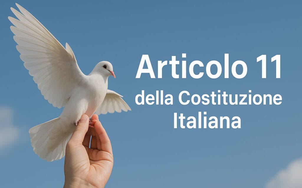 Articolo 11